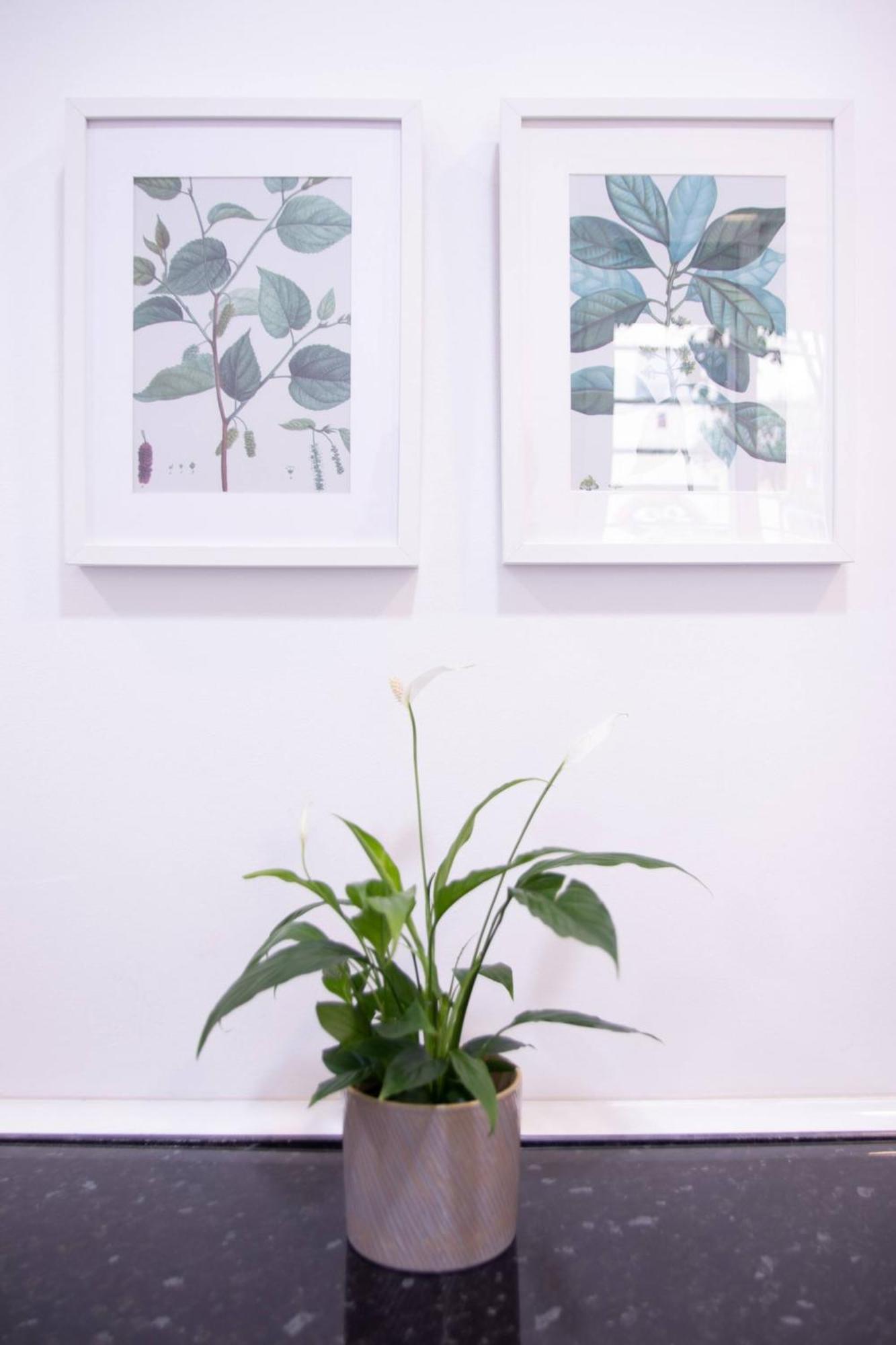 Viveros By Concept Flats Valencia Bagian luar foto